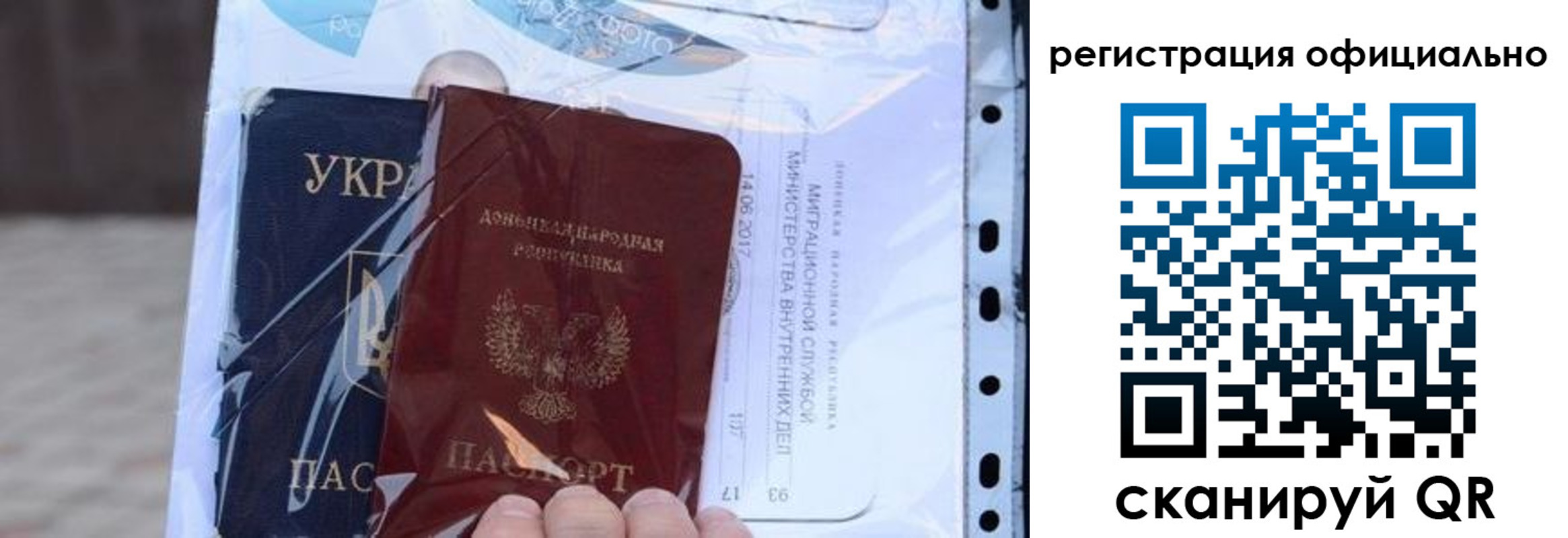 прописка поиск в Электрогорске